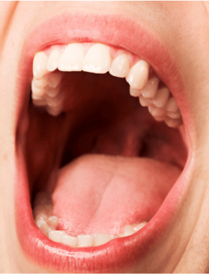 parts of the mouth