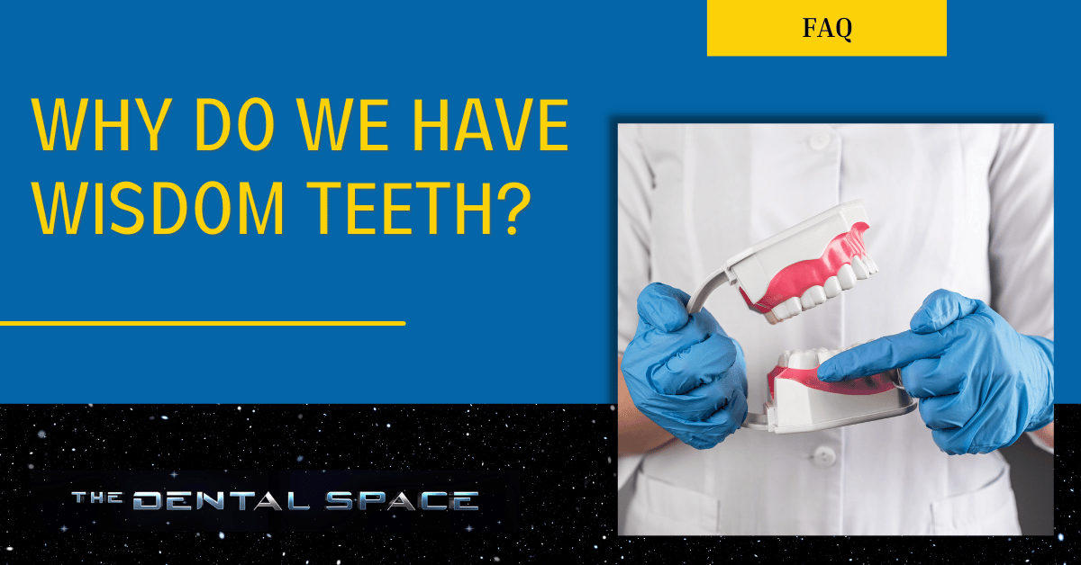 Why Do We Have Wisdom Teeth? — The Dental Space